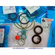 P5629 KPL. USZCZELEK POMPY COMMON RAIL BOSCH CP3 R110 / OR KIT INJECTOR PUMP COMMON RAIL CP3-R110 - 5629.jpg